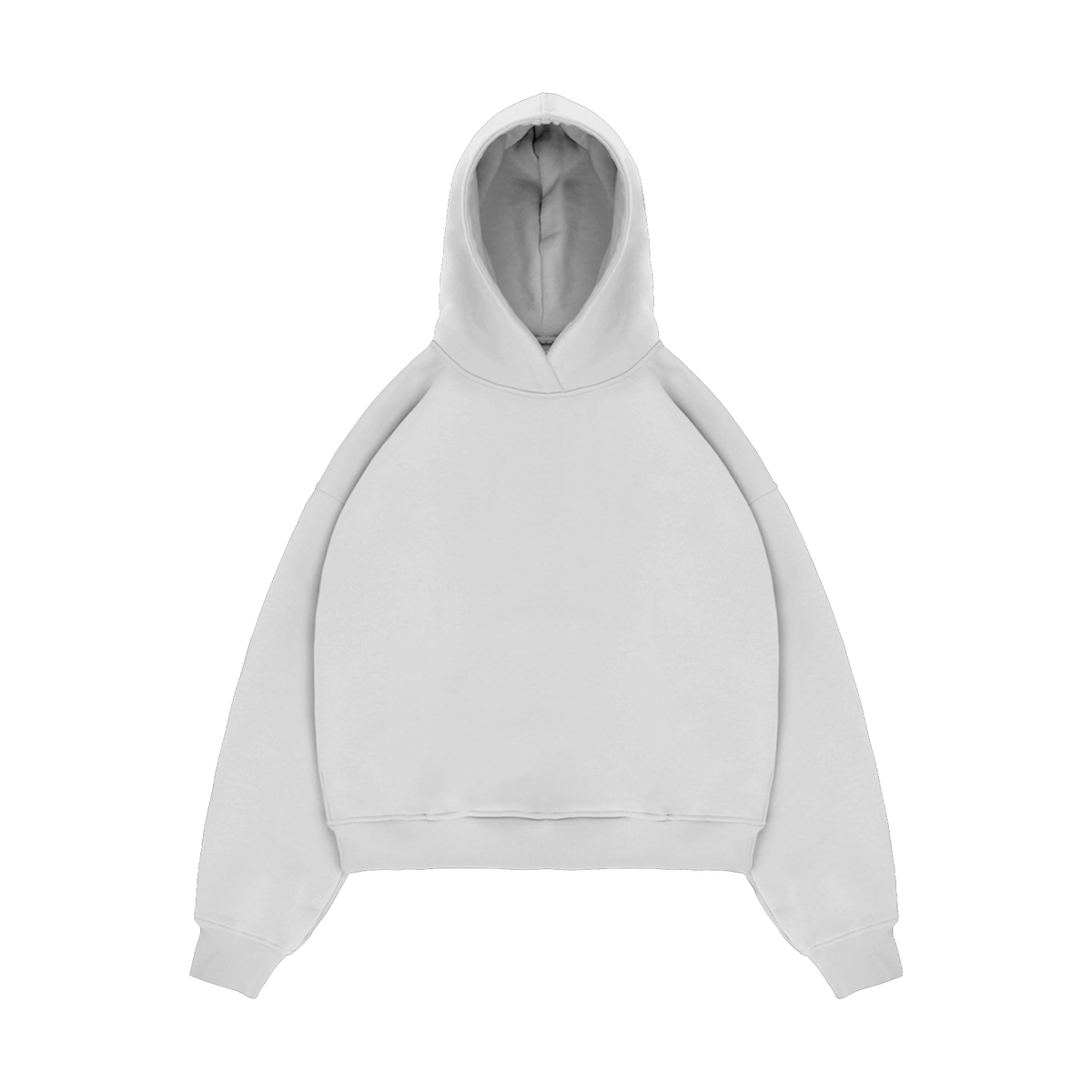 V2 Hoodie In Arctic