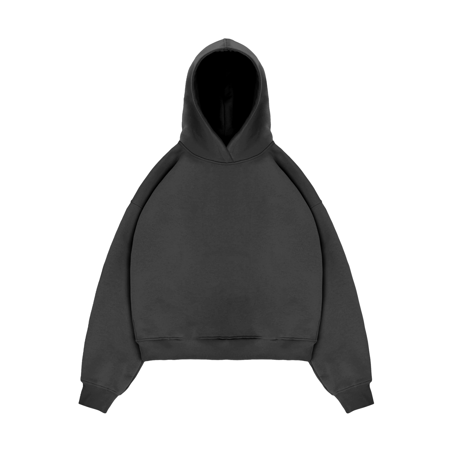 CL V2 Hoodie In Pebble